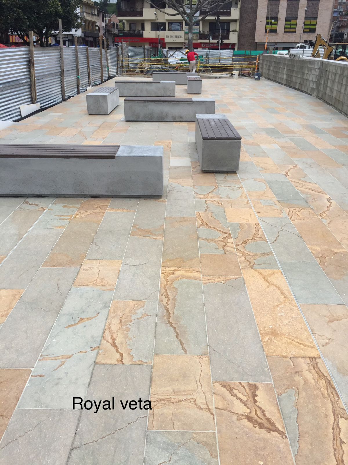 Proyecto RoyalVeta Rionegro 2