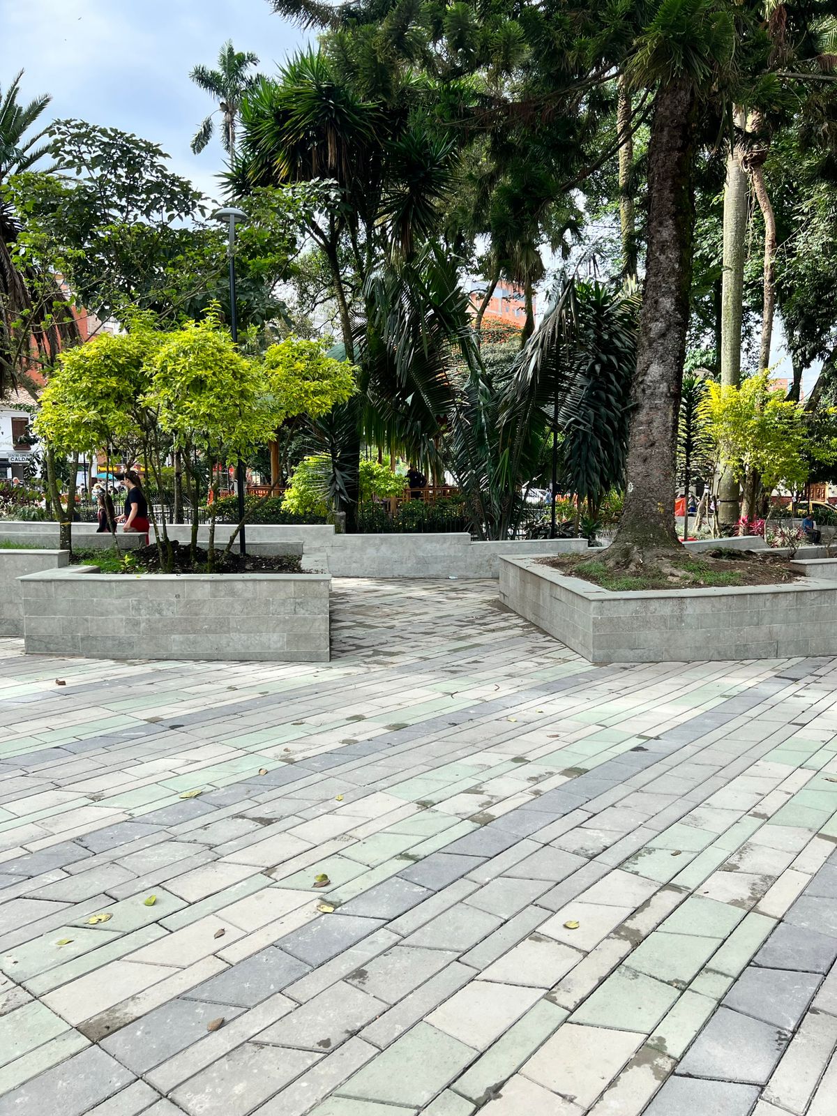 Proyecto Parque Caldas 1